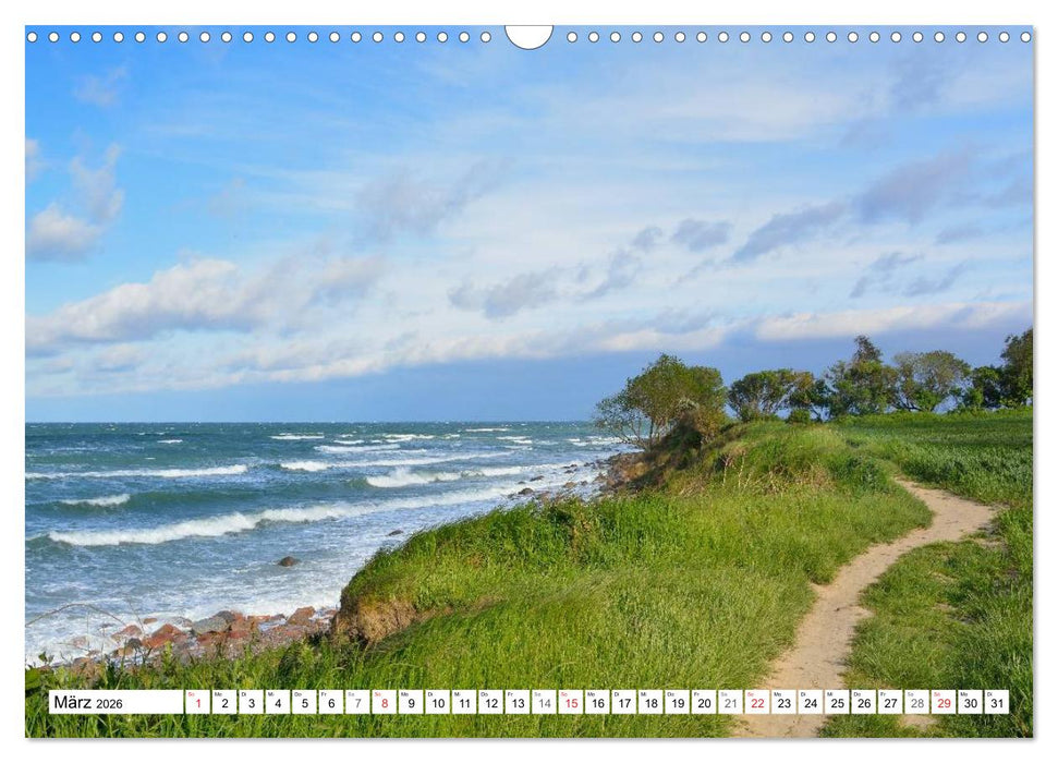 Wege gehen... (CALVENDO Wandkalender 2026)