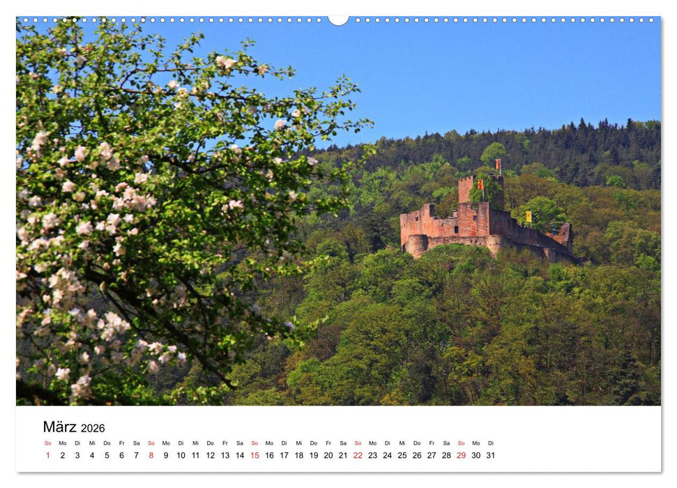 Deutschlands Burgen - besondere Burgen und schöne Schlösser (CALVENDO Premium Wandkalender 2026)