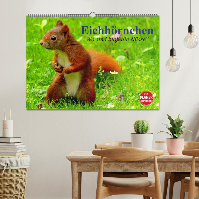Eichhörnchen. Wo sind bloß die Nüsse? (CALVENDO Wandkalender 2026)