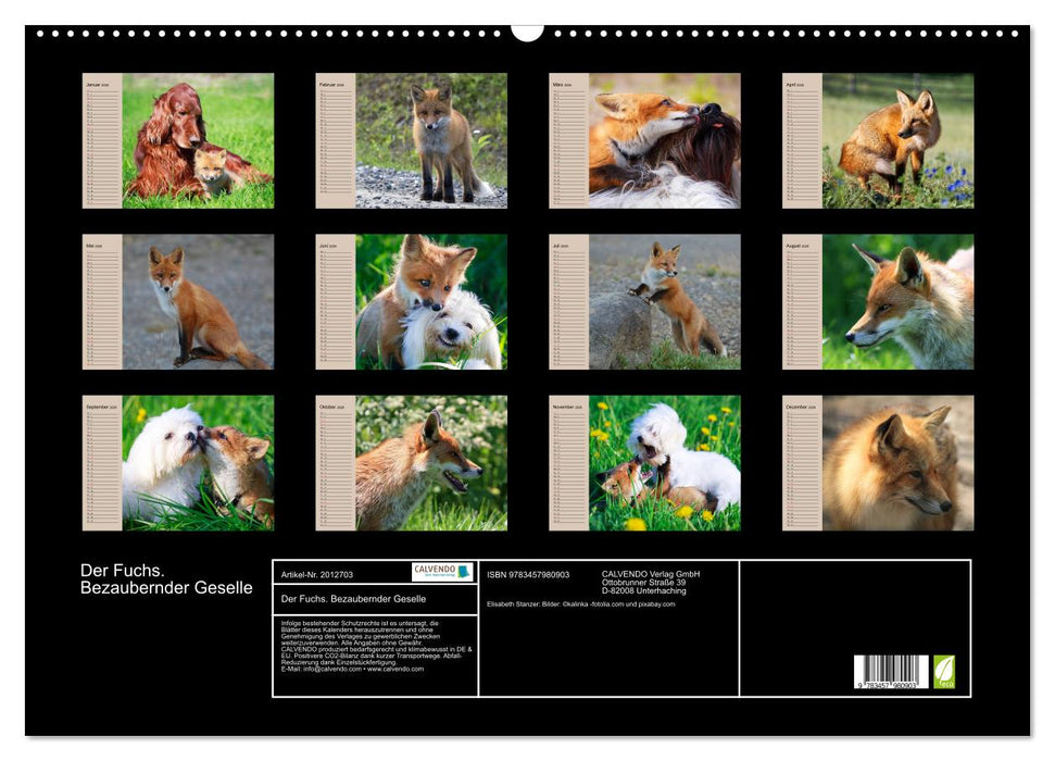 Der Fuchs. Bezaubernder Geselle (CALVENDO Wandkalender 2026)