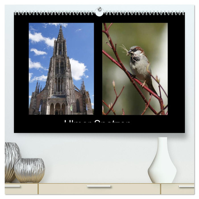 Ulmer Spatzen (CALVENDO Premium Wandkalender 2026)