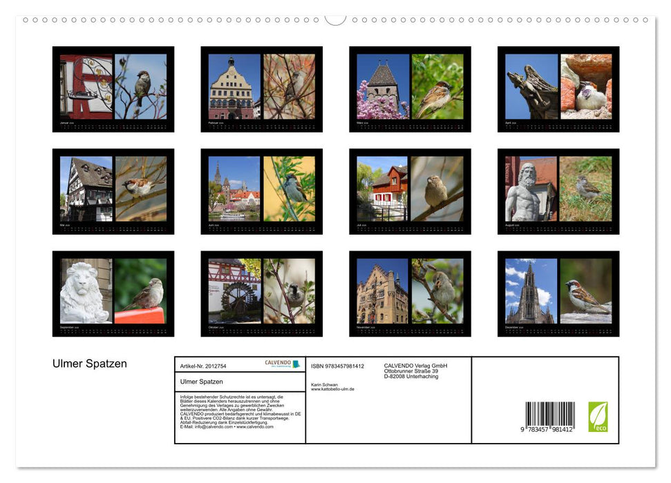 Ulmer Spatzen (CALVENDO Premium Wandkalender 2026)