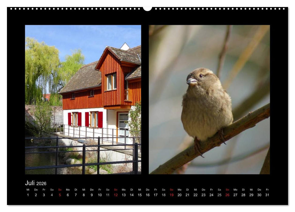 Ulmer Spatzen (CALVENDO Premium Wandkalender 2026)