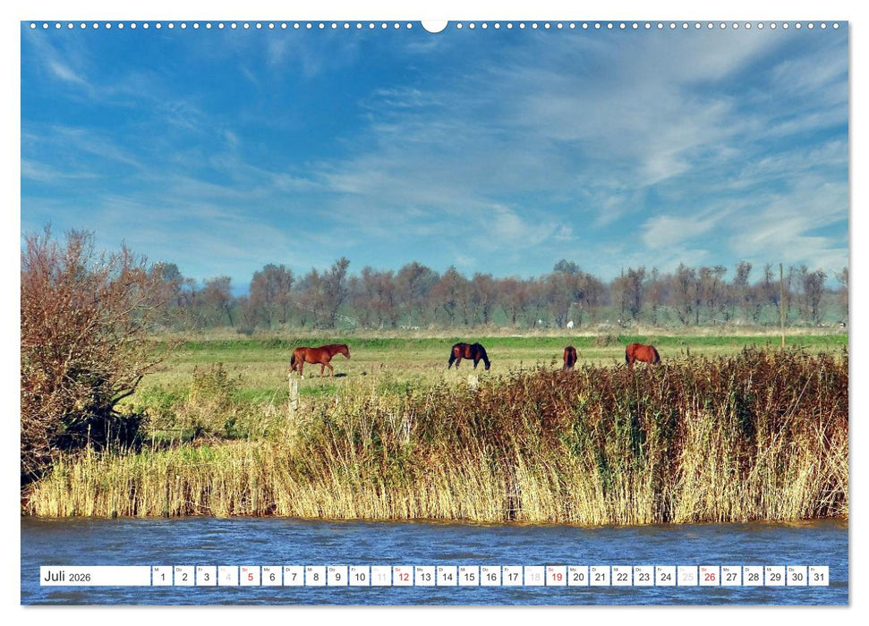 Bilder aus Nordkehdingen (CALVENDO Premium Wandkalender 2026)