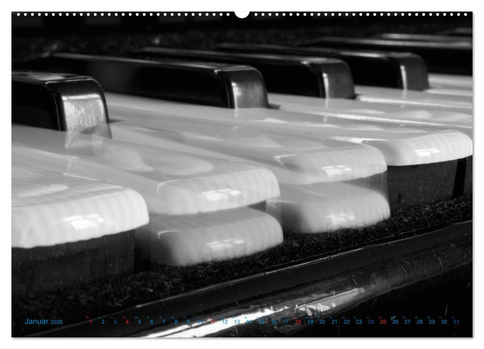 Akkordeon - close up (CALVENDO Wandkalender 2026)