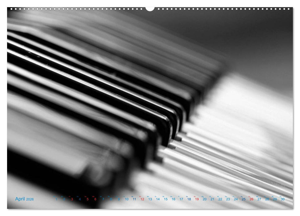 Akkordeon - close up (CALVENDO Wandkalender 2026)