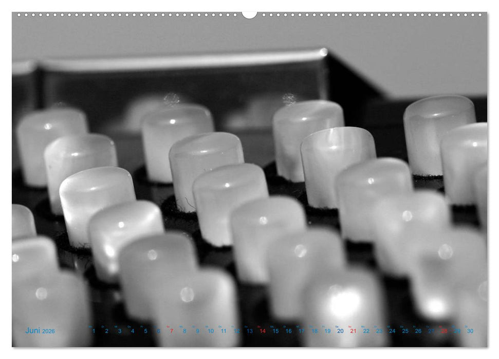 Akkordeon - close up (CALVENDO Wandkalender 2026)