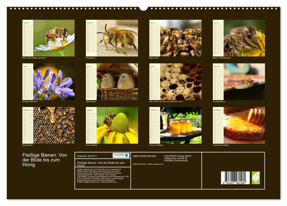 Fleißige Bienen. Von der Blüte bis zum Honig (CALVENDO Premium Wandkalender 2026)