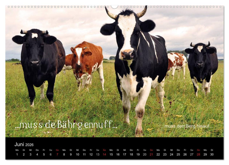Die Wetterau mit Mundart-Statements (CALVENDO Wandkalender 2026)