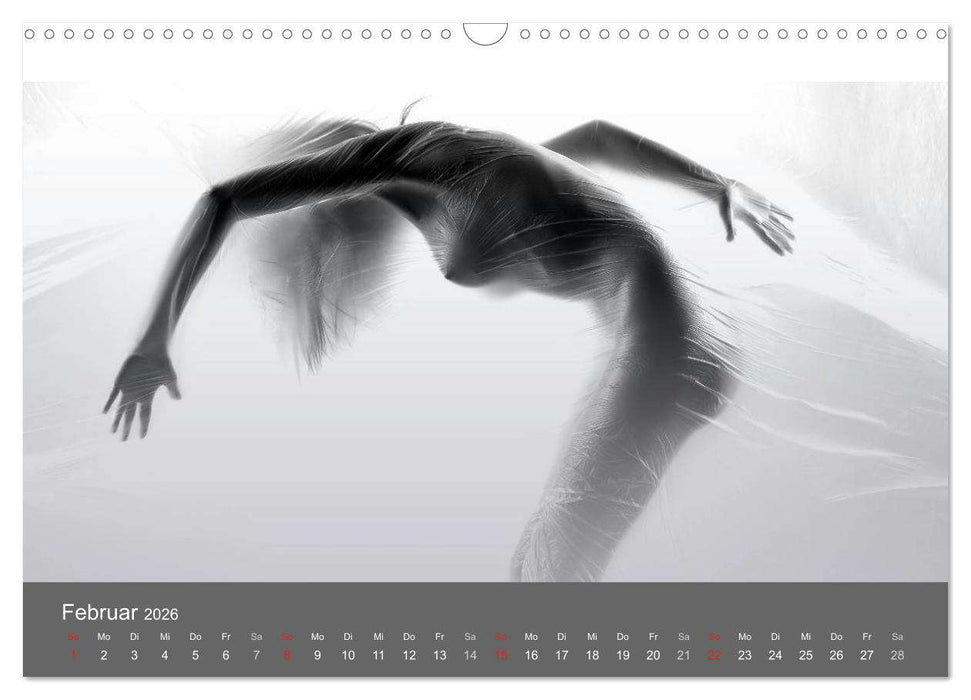 Akt und Visionen (CALVENDO Wandkalender 2026)