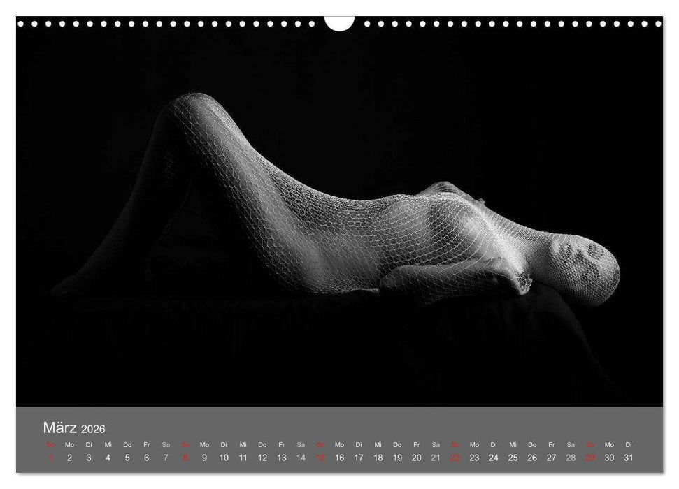 Akt und Visionen (CALVENDO Wandkalender 2026)