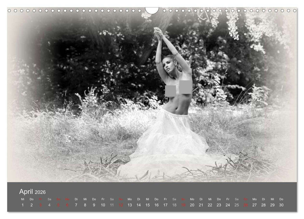 Akt und Visionen (CALVENDO Wandkalender 2026)