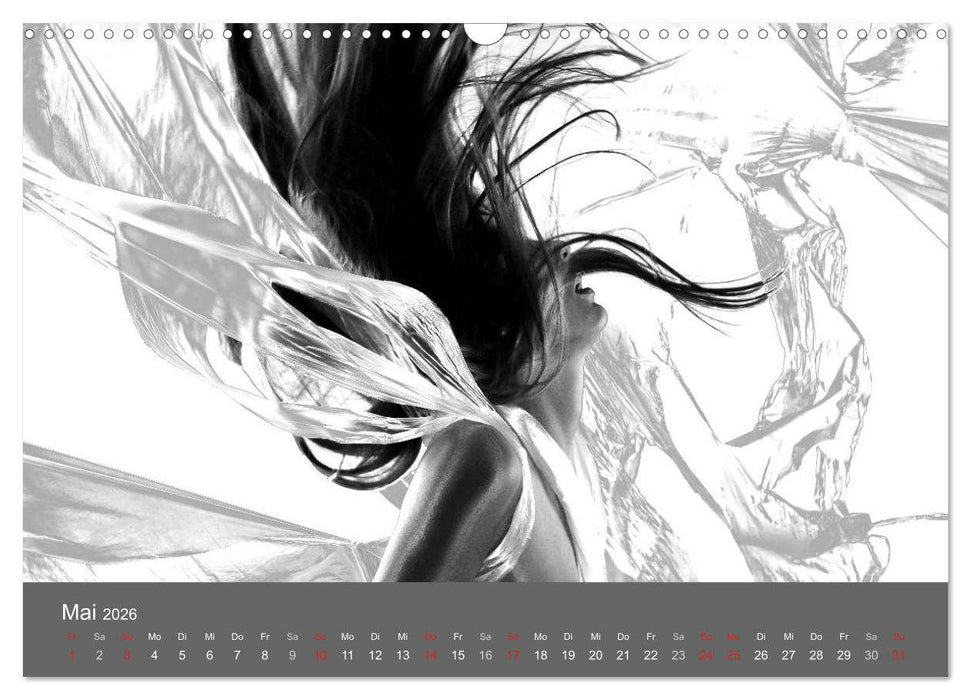 Akt und Visionen (CALVENDO Wandkalender 2026)