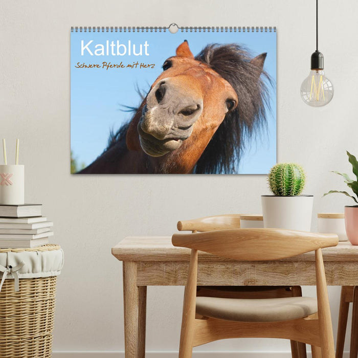 Kaltblut - schwere Pferde mit Herz (CALVENDO Wandkalender 2026)