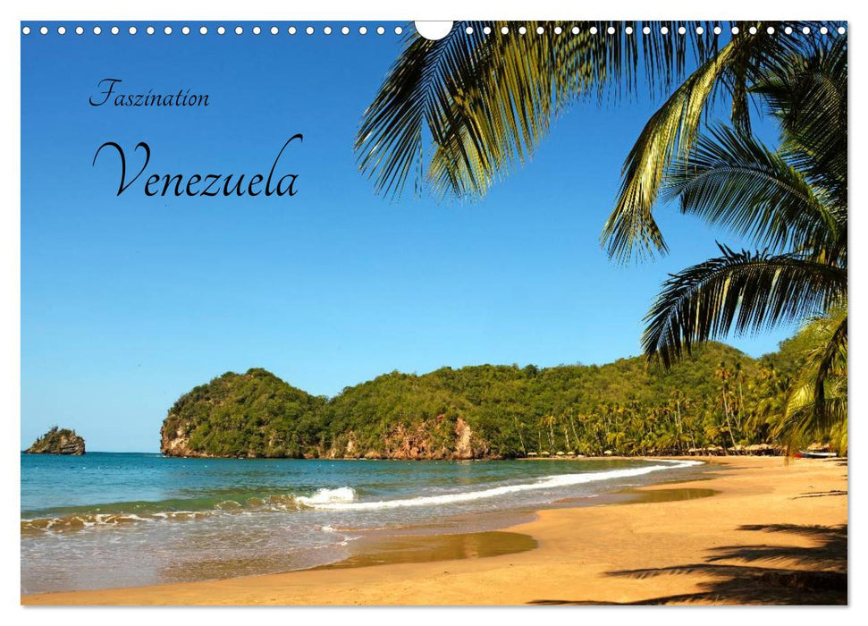Faszination Venezuela (CALVENDO Wandkalender 2026)