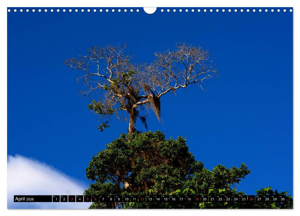 Faszination Venezuela (CALVENDO Wandkalender 2026)