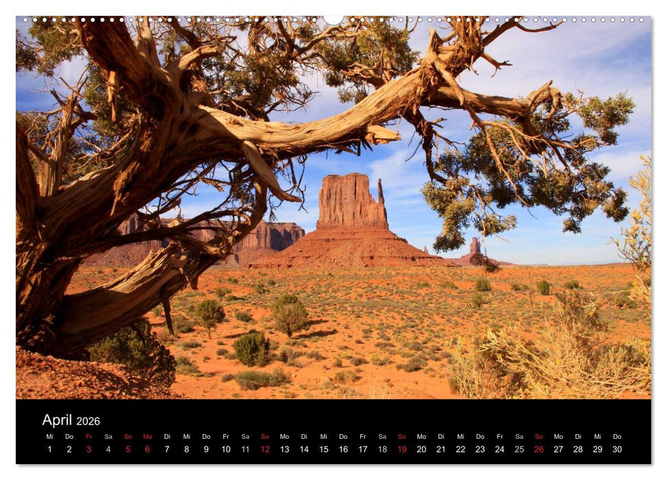 Felslandschaften (CALVENDO Wandkalender 2026)