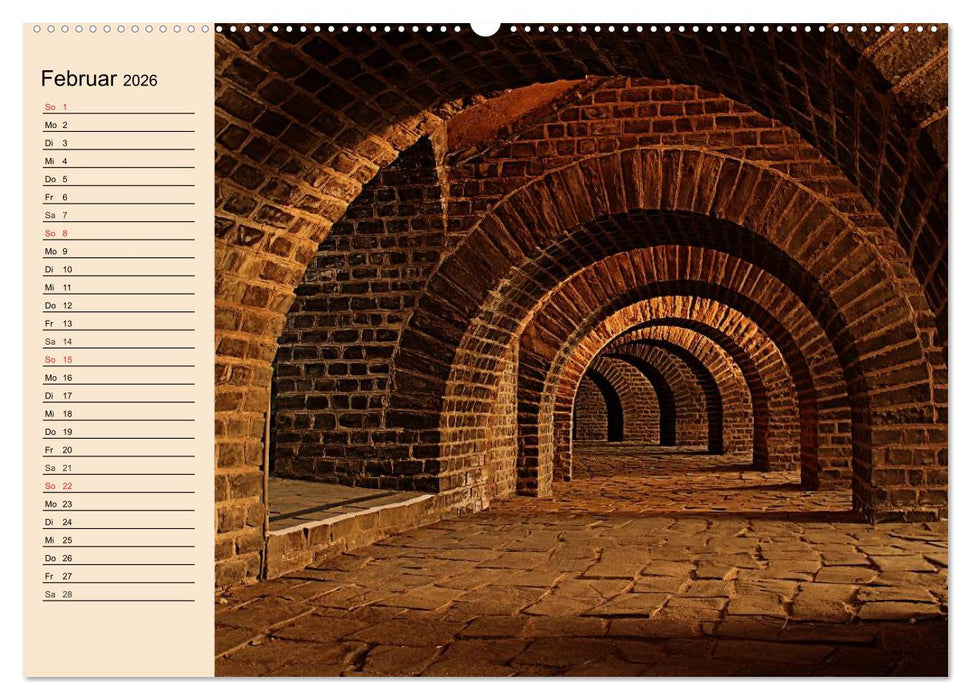 Weinanbau. Von der Traube zum Wein (CALVENDO Wandkalender 2026)