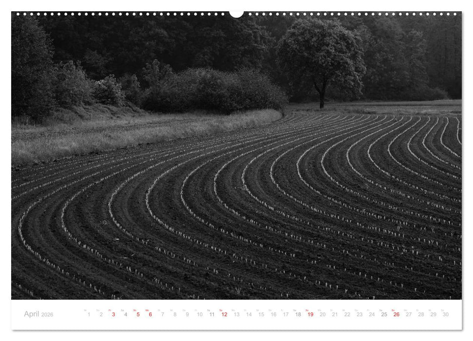 Mystischer Schwarzwald (CALVENDO Premium Wandkalender 2026)