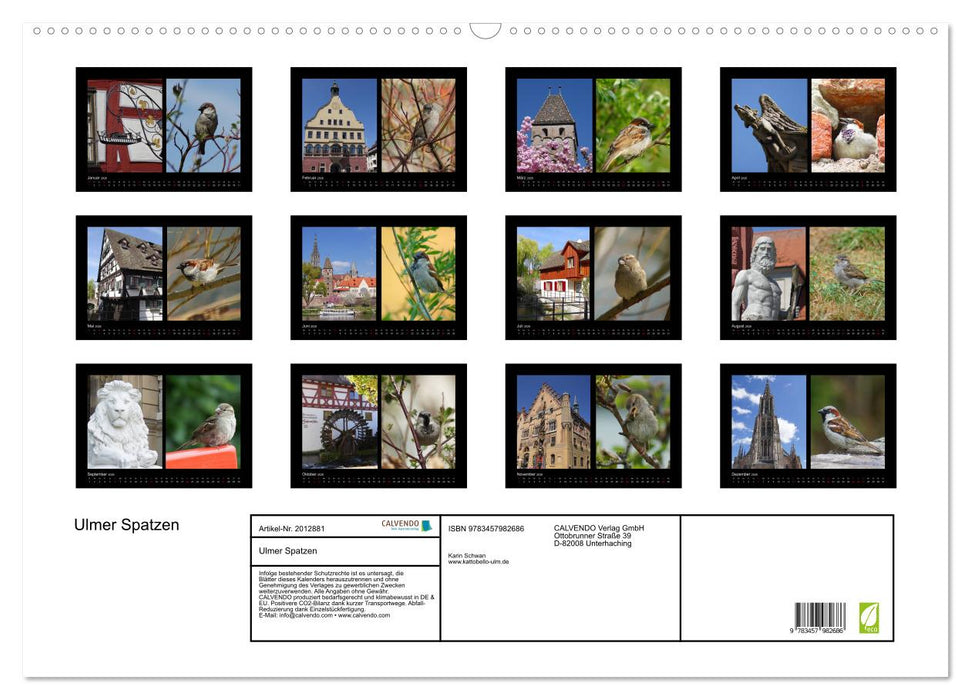 Ulmer Spatzen (CALVENDO Wandkalender 2026)