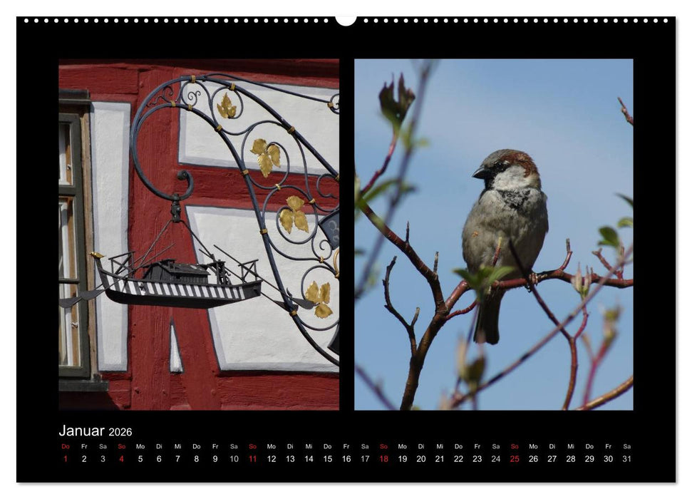 Ulmer Spatzen (CALVENDO Wandkalender 2026)
