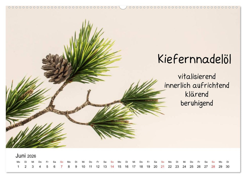 Aromatherapie - Düfte für die Seele (CALVENDO Premium Wandkalender 2026)