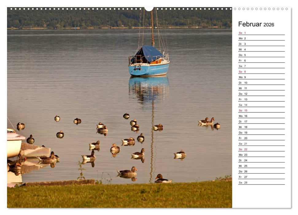 Seestärke - Der Ammersee (CALVENDO Premium Wandkalender 2026)