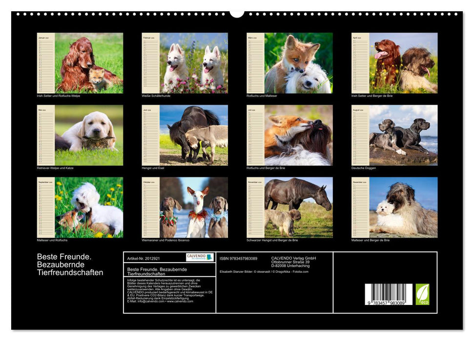 Beste Freunde. Bezaubernde Tierfreundschaften (CALVENDO Premium Wandkalender 2026)