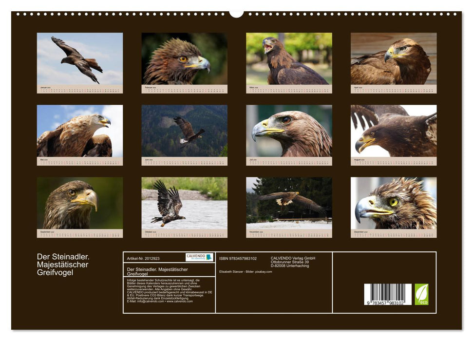 Der Steinadler. Majestätischer Greifvogel (CALVENDO Premium Wandkalender 2026)