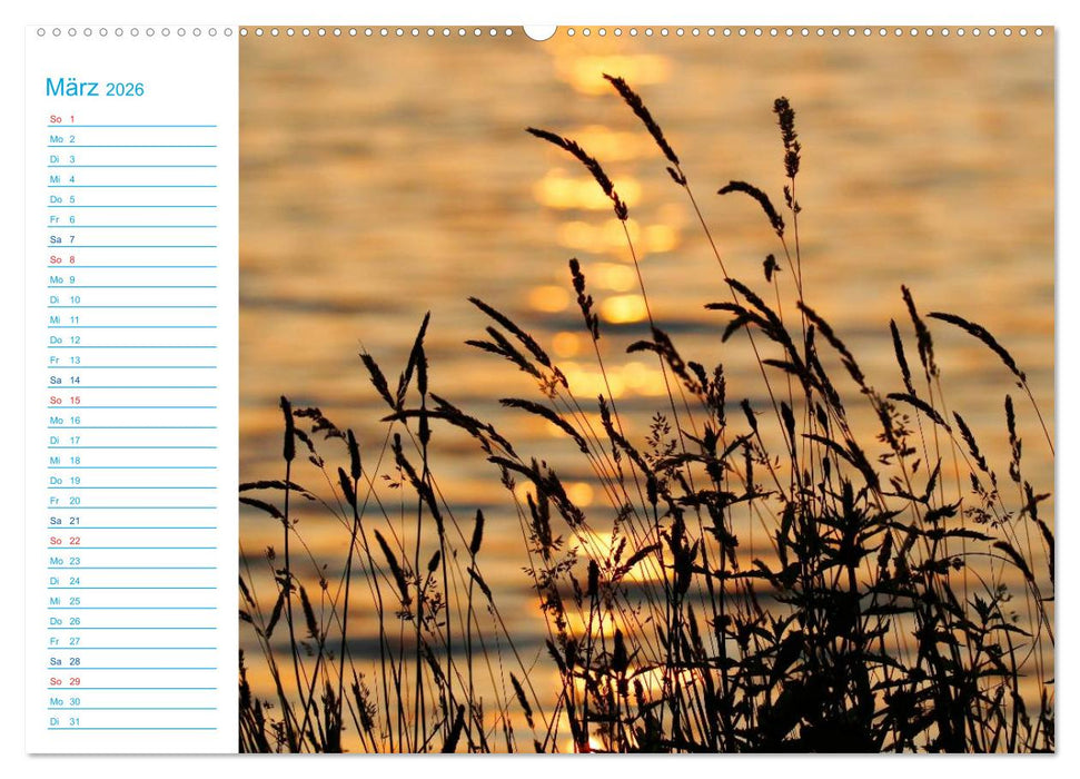 Urlaubsparadies Scharmützelsee (CALVENDO Premium Wandkalender 2026)