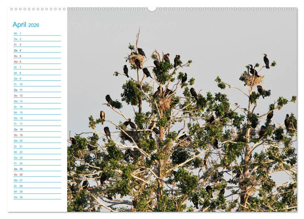 Urlaubsparadies Scharmützelsee (CALVENDO Premium Wandkalender 2026)