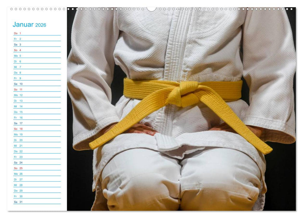 Kampfsport (CALVENDO Premium Wandkalender 2026)