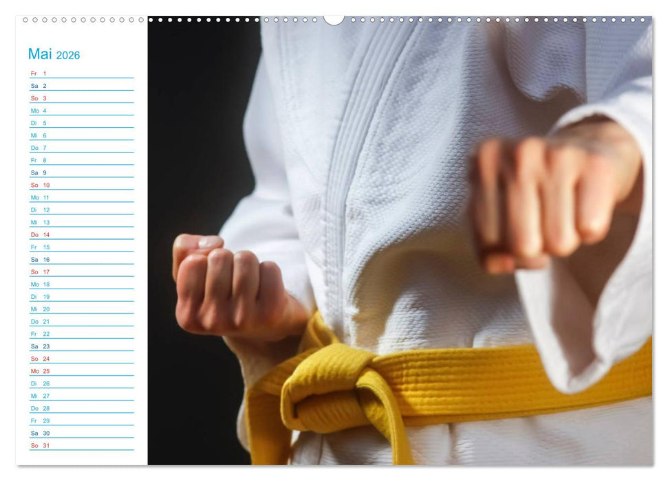 Kampfsport (CALVENDO Premium Wandkalender 2026)