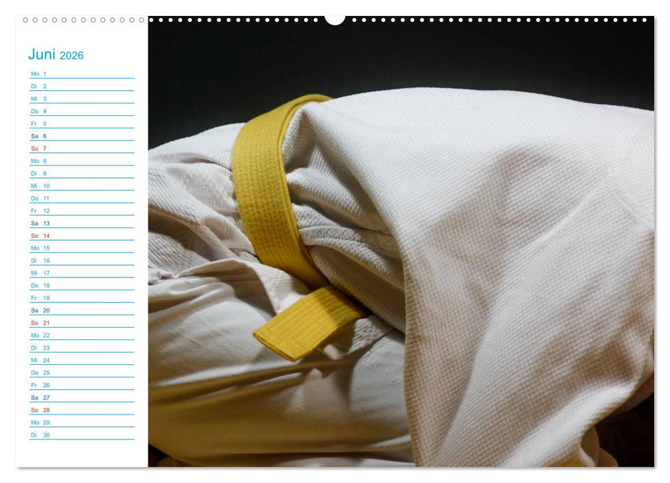 Kampfsport (CALVENDO Premium Wandkalender 2026)