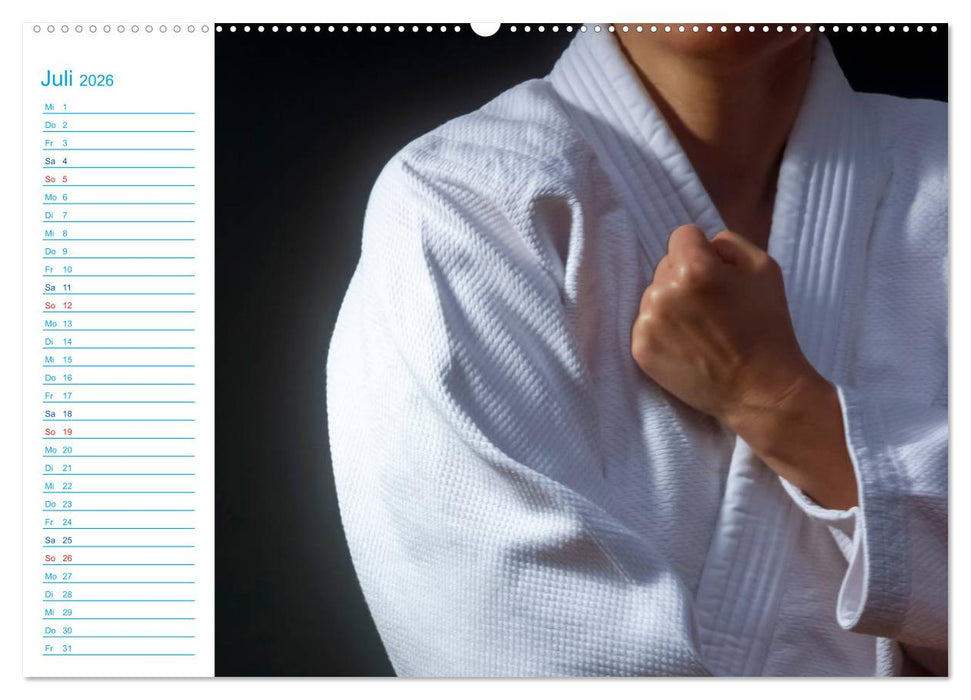 Kampfsport (CALVENDO Premium Wandkalender 2026)