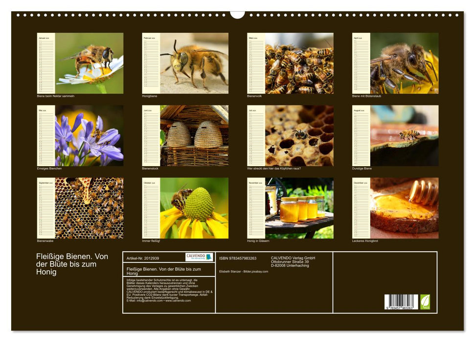 Fleißige Bienen. Von der Blüte bis zum Honig (CALVENDO Wandkalender 2026)