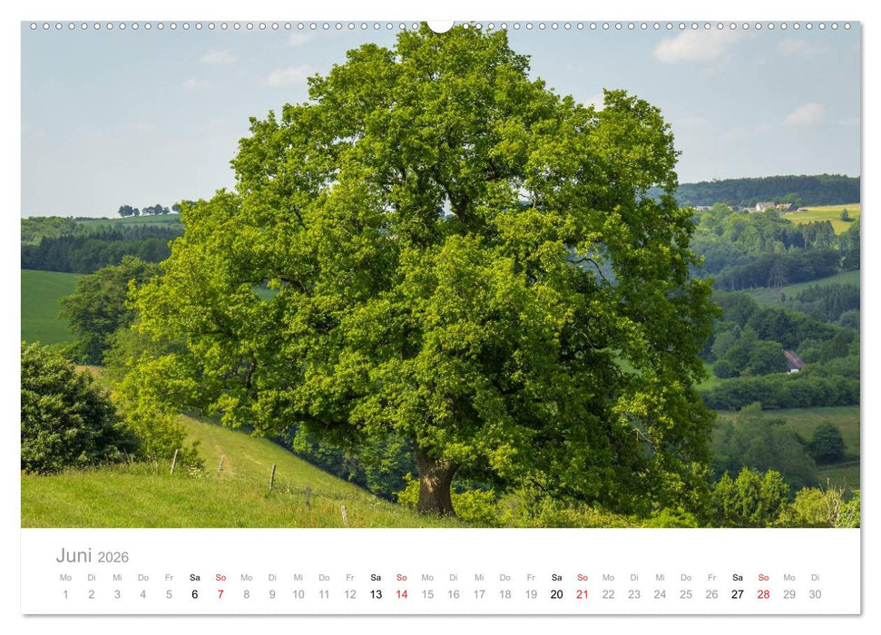 Märkisches Sauerland (CALVENDO Wandkalender 2026)
