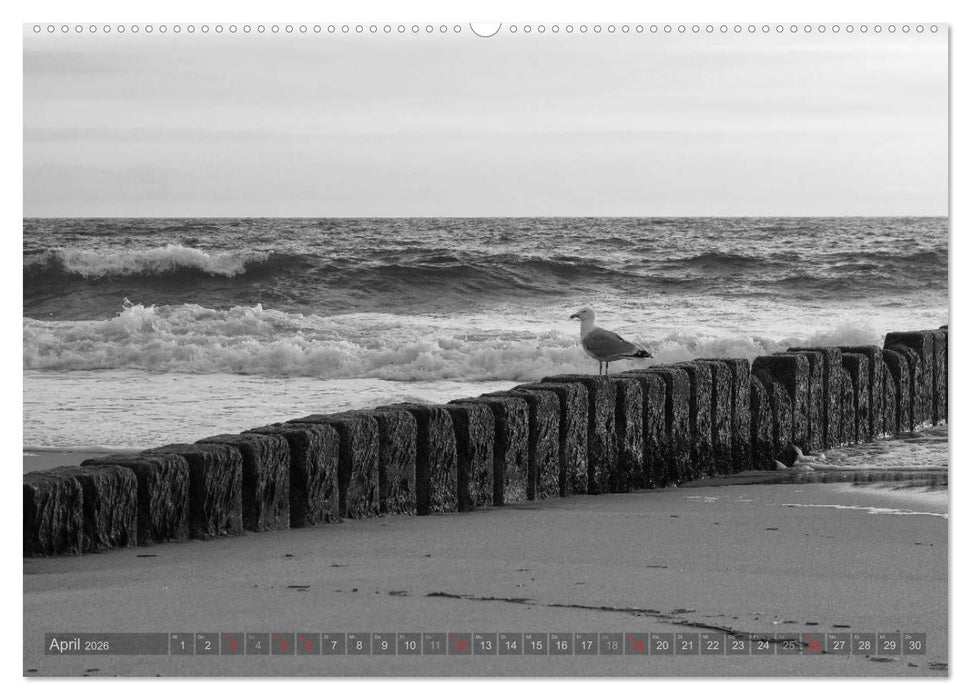 54°54'57"N 8°19'51"E SYLT (CALVENDO Wandkalender 2026)