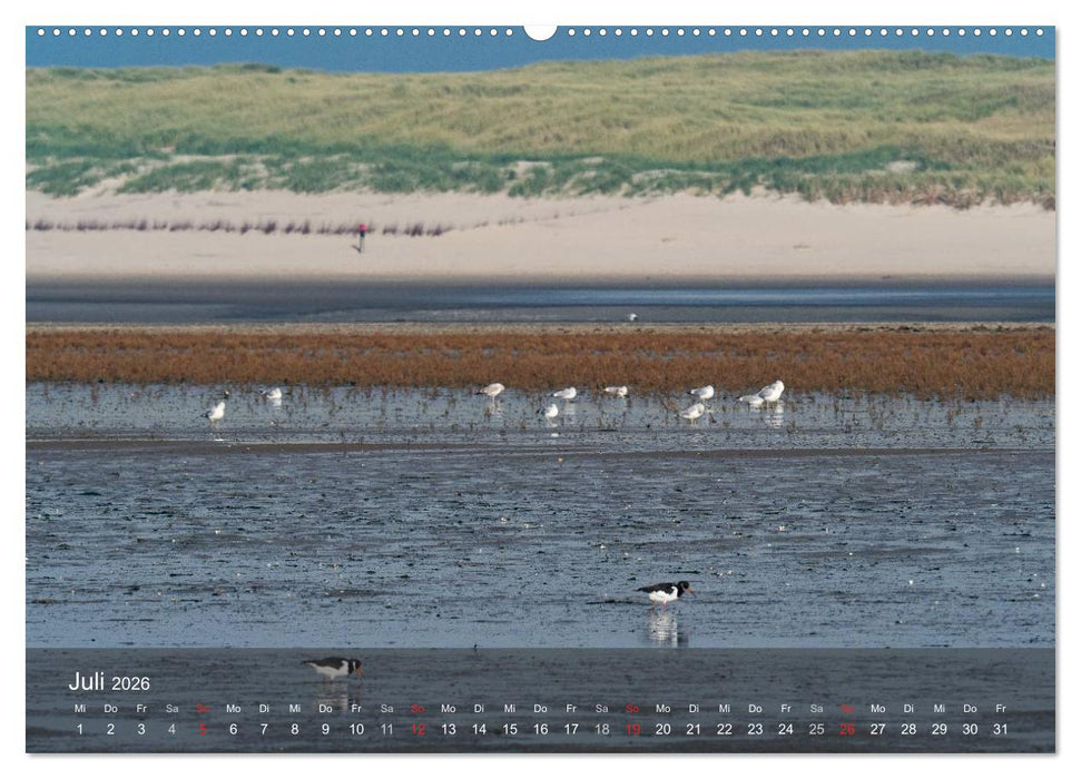 Texel - Meine Insel (CALVENDO Premium Wandkalender 2026)