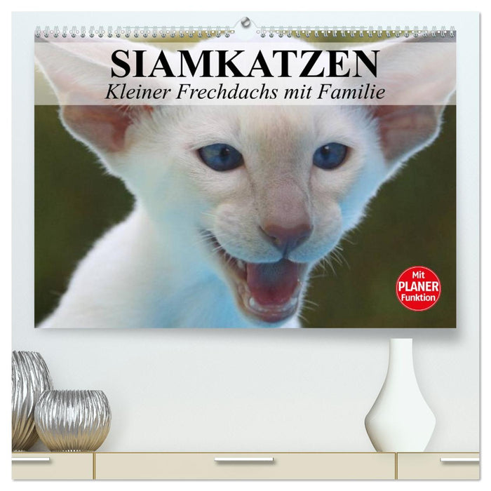 Siamkatzen - Kleiner Frechdachs mit Familie (CALVENDO Premium Wandkalender 2026)