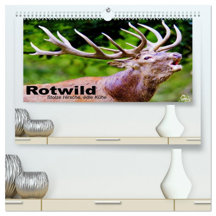 Rotwild. Edle Hirsche, stolze Kühe (CALVENDO Premium Wandkalender 2026)