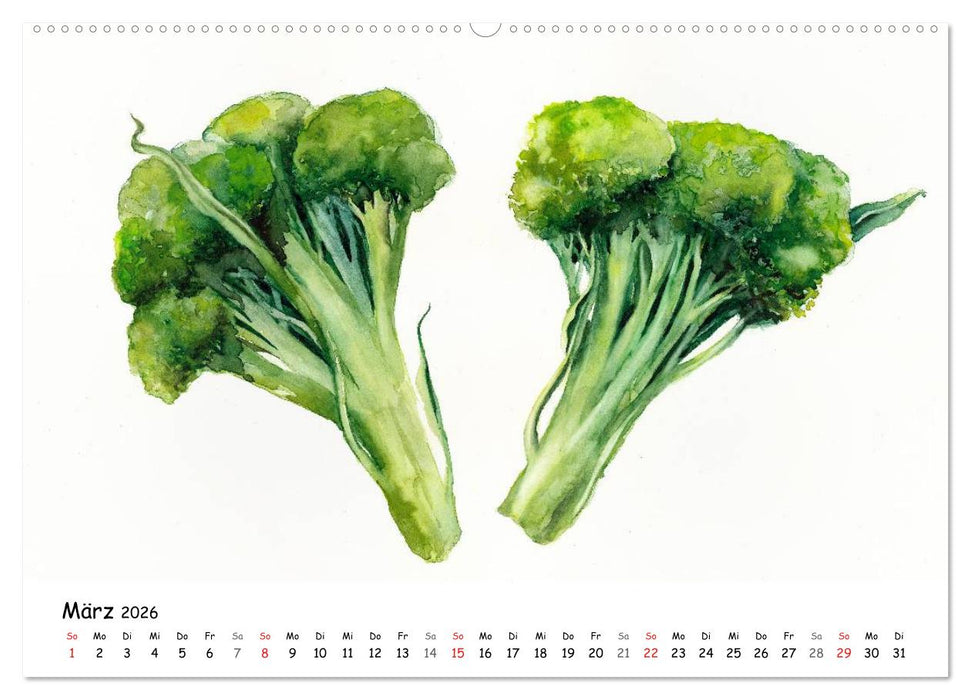 Gemüse Aquarelle (CALVENDO Wandkalender 2026)