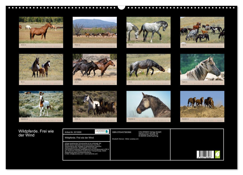Wildpferde. Frei wie der Wind (CALVENDO Wandkalender 2026)
