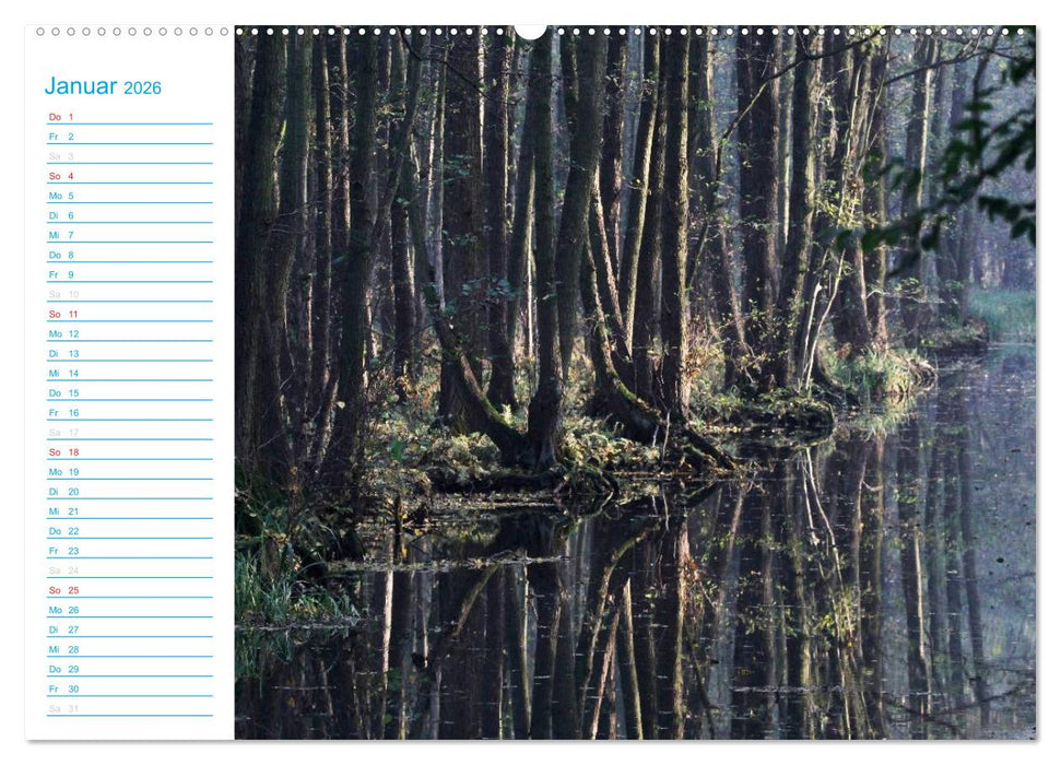 Wunderschöner Spreewald (CALVENDO Wandkalender 2026)