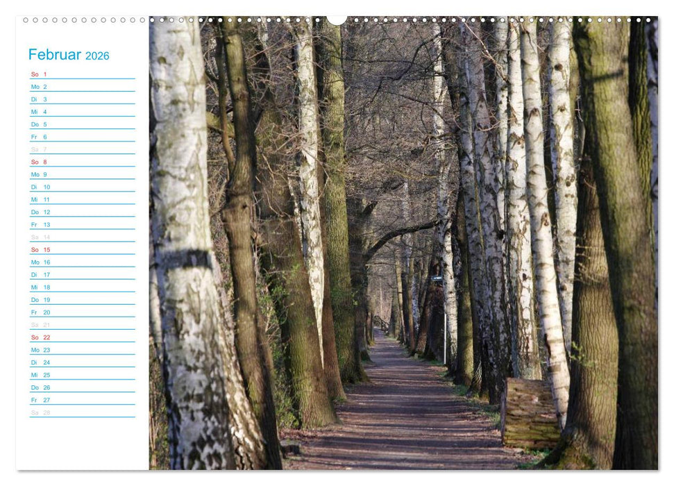 Wunderschöner Spreewald (CALVENDO Wandkalender 2026)