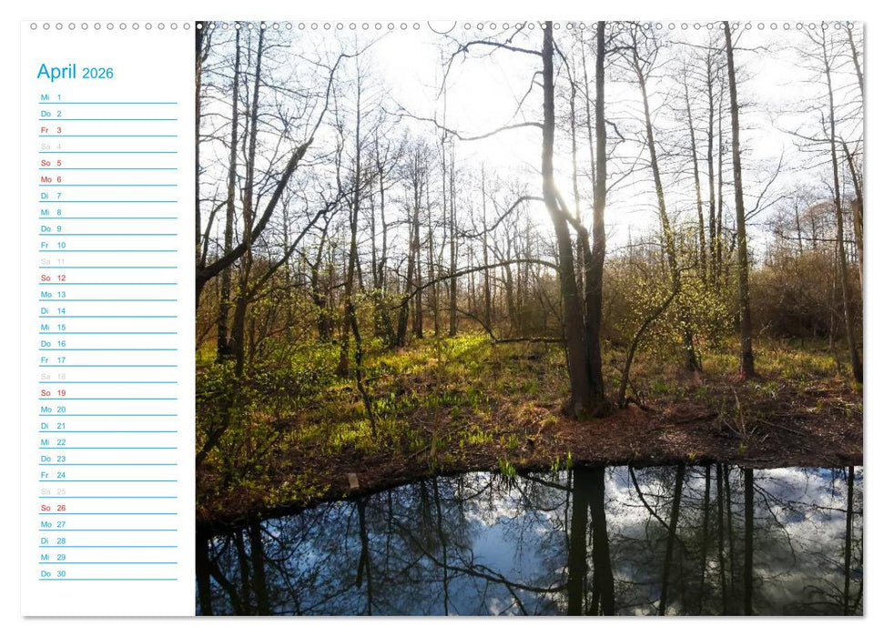 Wunderschöner Spreewald (CALVENDO Wandkalender 2026)
