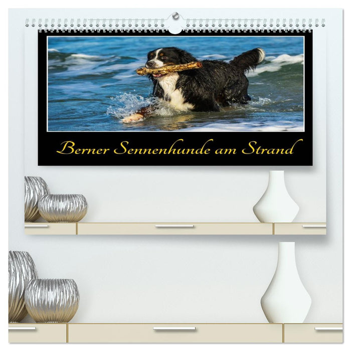 Berner Sennenhunde am Strand (CALVENDO Premium Wandkalender 2026)