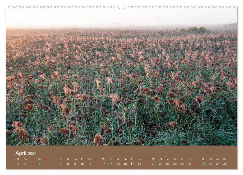 Der Federsee - Vogelparadies in Oberschwaben (CALVENDO Premium Wandkalender 2026)