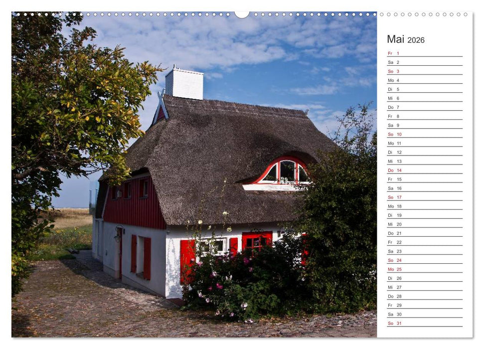 Künstlerparadies Ahrenshoop (CALVENDO Premium Wandkalender 2026)