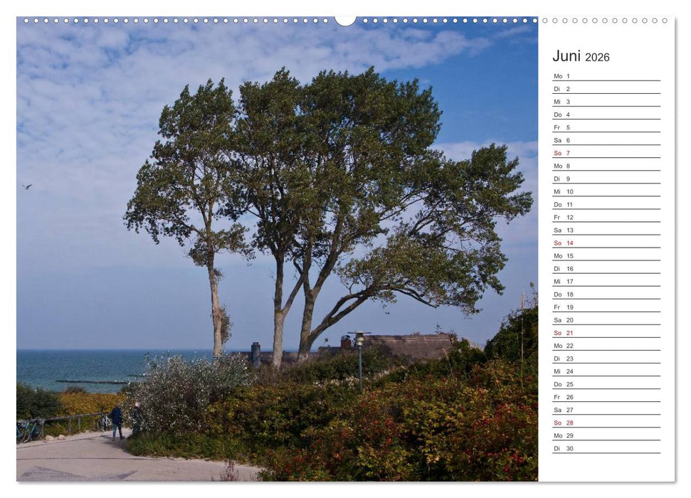 Künstlerparadies Ahrenshoop (CALVENDO Premium Wandkalender 2026)
